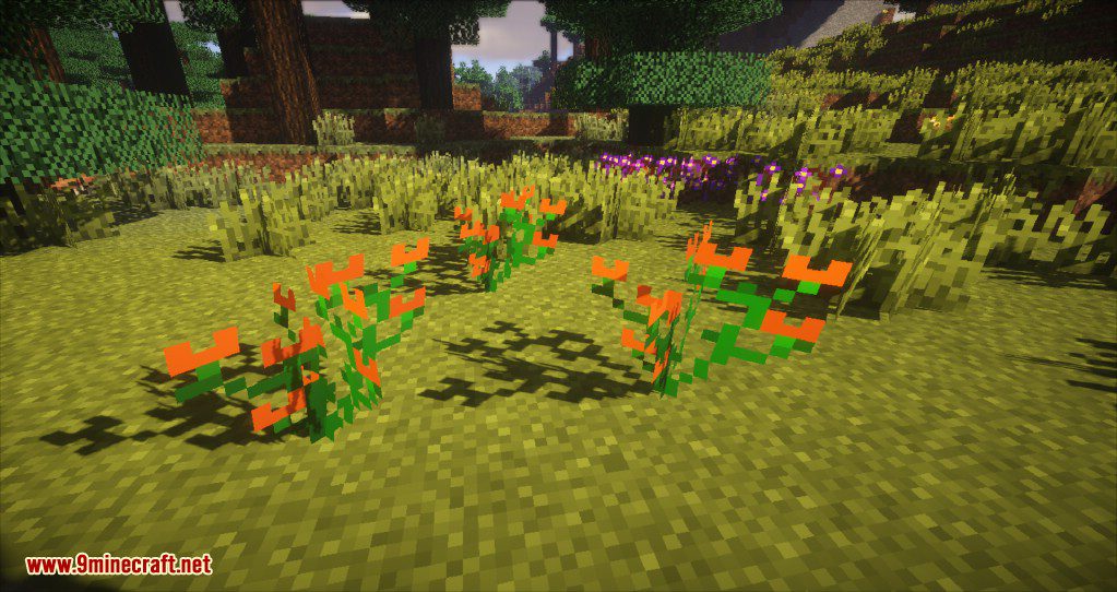 Plants Mod (1.12.2, 1.11.2) - Experience the Natural World 57