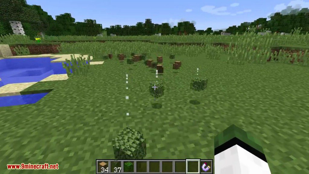 Simple Magnet Mod 1.12.2, 1.11.2 (Pulling Items Lying on the Ground) 4