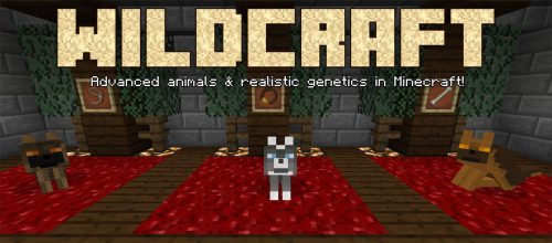 WildCraft Mod 1.12.2, 1.11.2 (Advanced Animals and Realistic Genetics) Thumbnail
