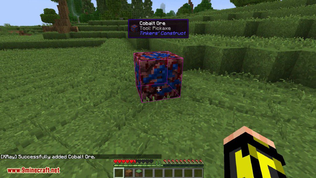 Advanced XRay Mod (1.20.4, 1.19.4) - Forge/Fabric 17