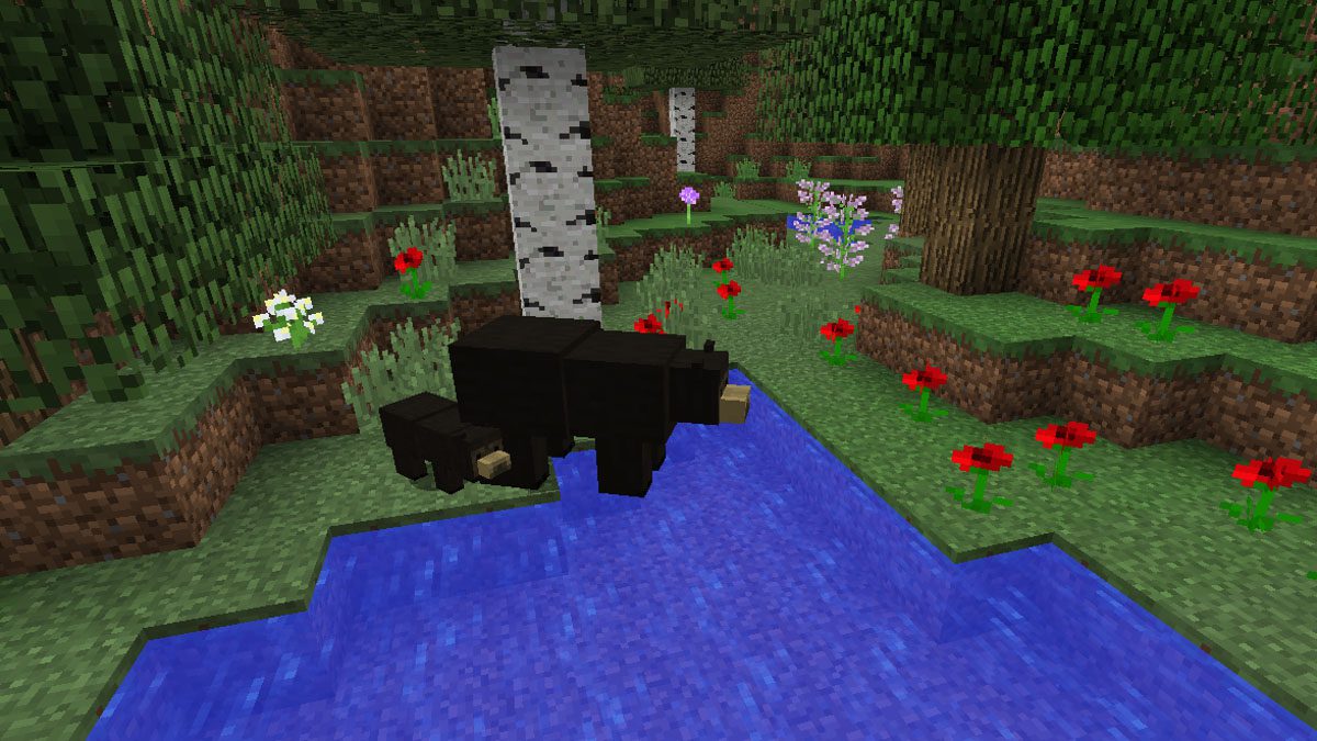 Bear With Me Mod 1.16, 1.15 (New Bear Species) 2