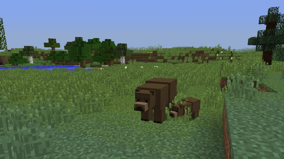 Bear With Me Mod 1.16, 1.15 (New Bear Species) 3