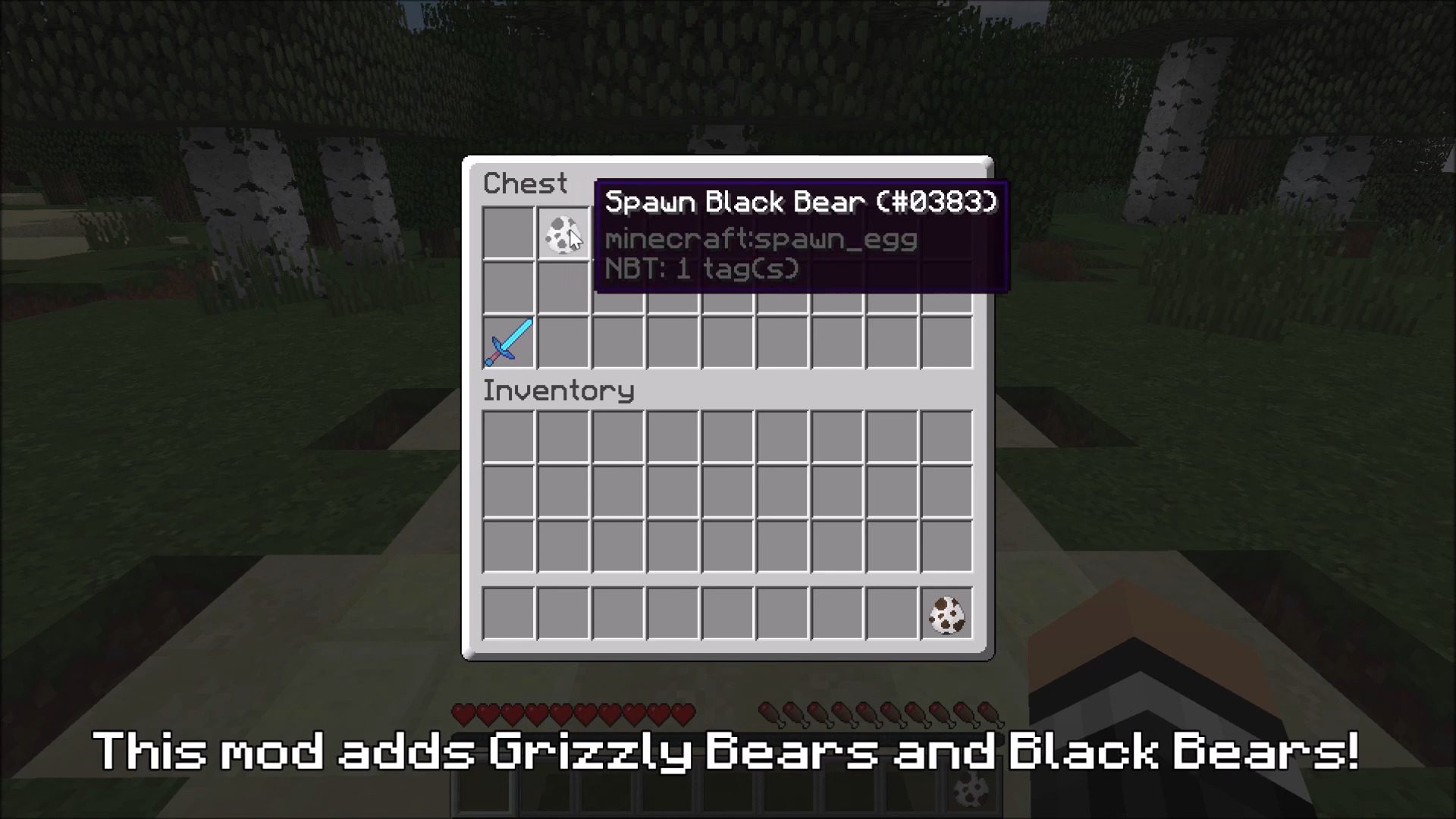 Bear With Me Mod 1.16, 1.15 (New Bear Species) 5