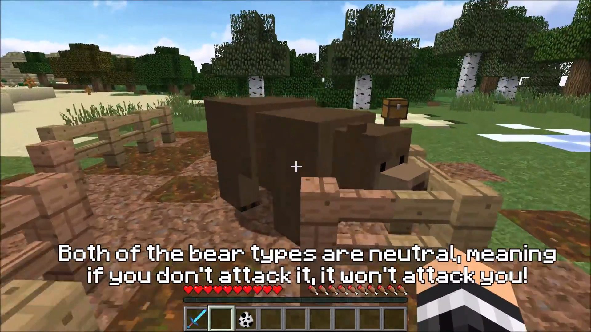 Bear With Me Mod 1.16, 1.15 (New Bear Species) 8