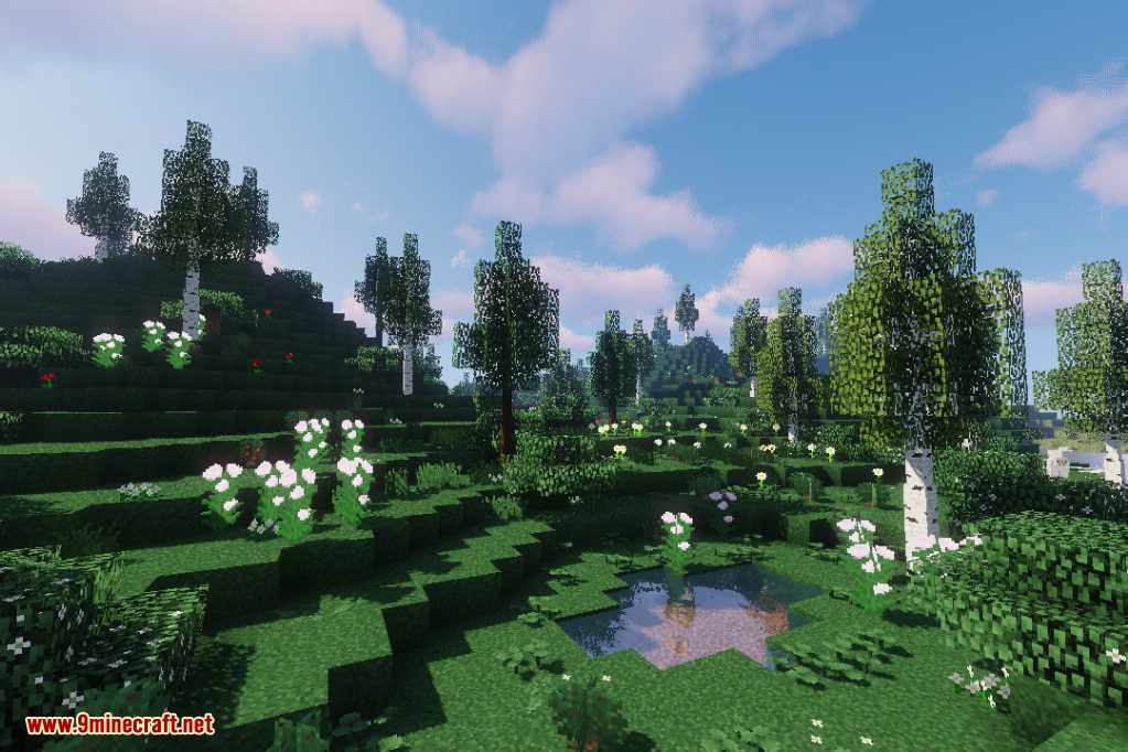 Dynamic Trees Biomes O' Plenty Compat Mod (1.21.1, 1.20.1) 11