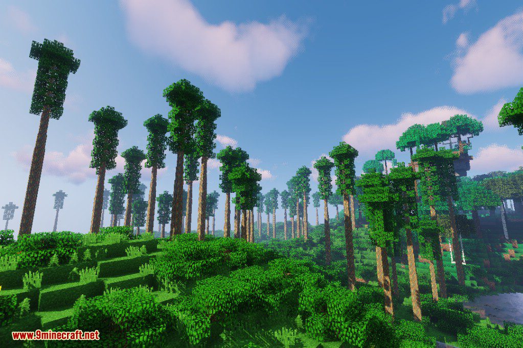 Dynamic Trees Biomes O' Plenty Compat Mod (1.21.1, 1.20.1) 8