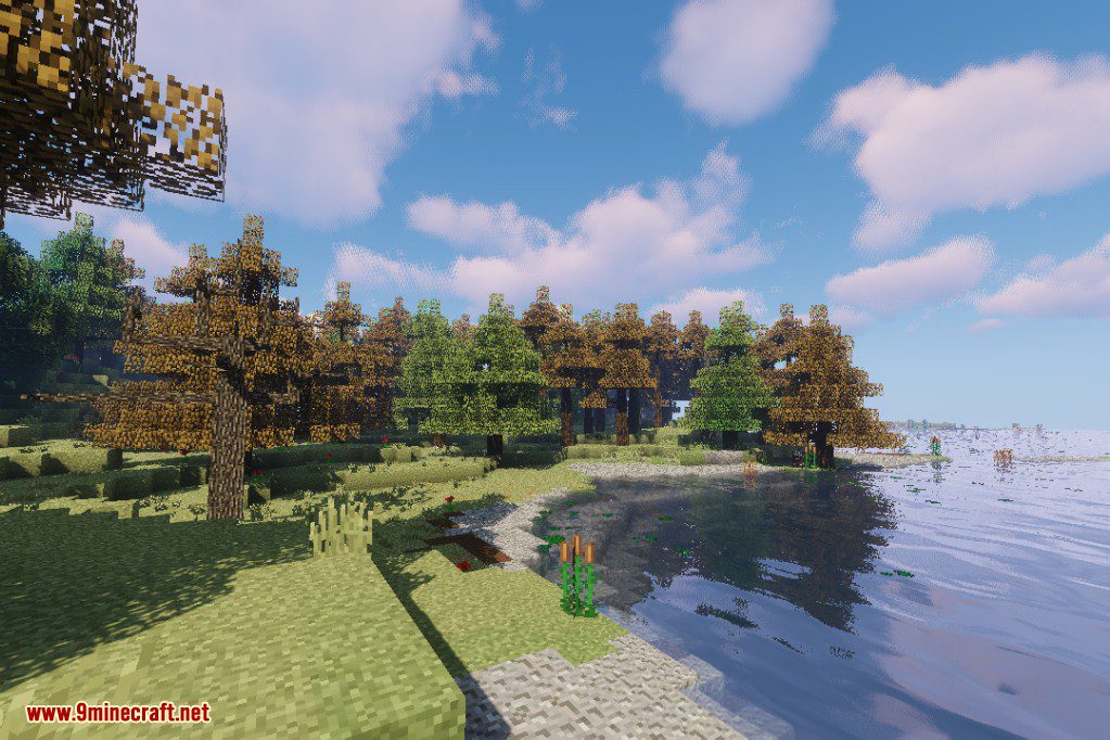 Dynamic Trees Biomes O' Plenty Compat Mod (1.21.1, 1.20.1) 9