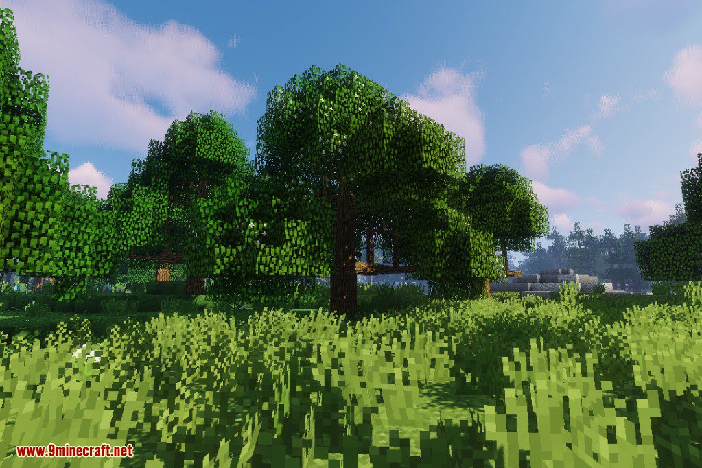 Dynamic Trees Biomes O' Plenty Compat Mod (1.21.1, 1.20.1) 10