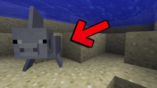 Merpig Mod 1.16.5, 1.15.2 (Water Version of the Pig) Thumbnail