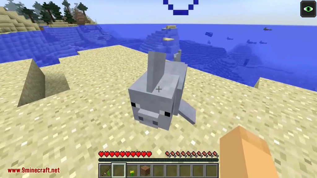 Merpig Mod 1.16.5, 1.15.2 (Water Version of the Pig) 12