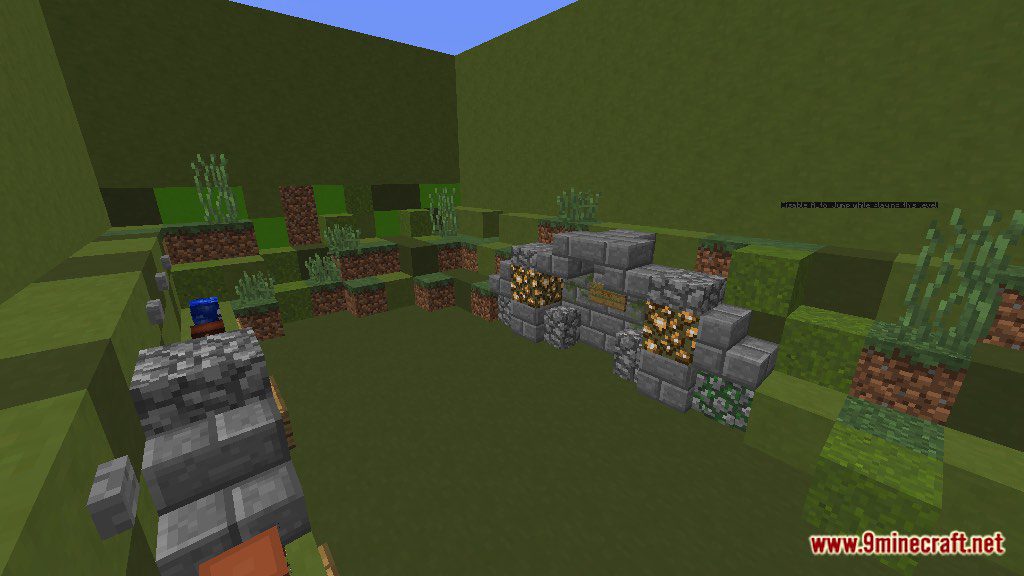 Minecraft Toad Treasure Tracker Map 1.12.2, 1.12 for Minecraft 5