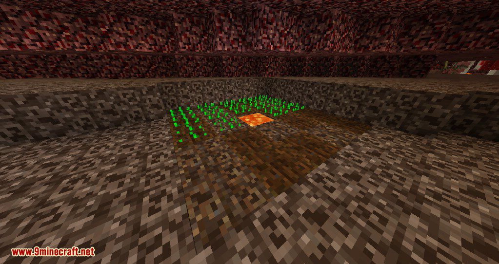 Nether Utils Mod 1.12.2 (Start in the Nether) 5