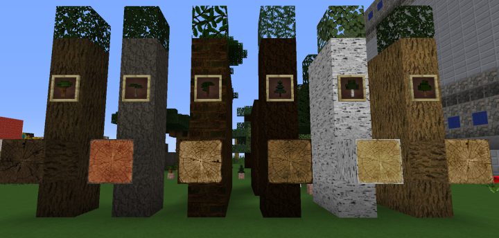 Ordinary Wonders Resource Pack (1.20.6, 1.20.1) - Texture Pack 13