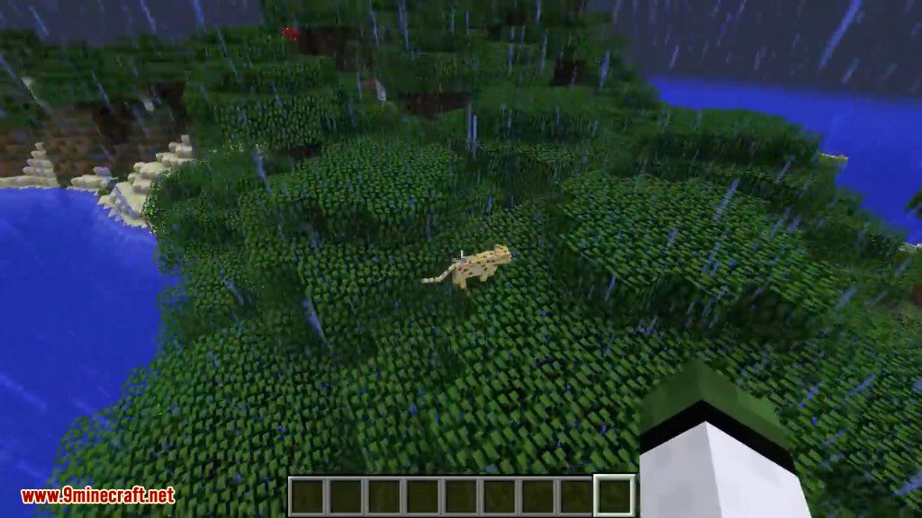 Raining Cats and Dogs Mod 1.15.2, 1.12.2 (Ocelots and Wolves Fall from the Sky) 5