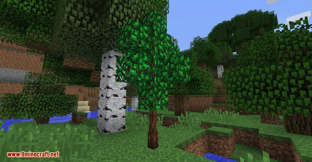 Simply Tea Mod (1.18.2, 1.16.5) - Tea Trees, Teapots 3