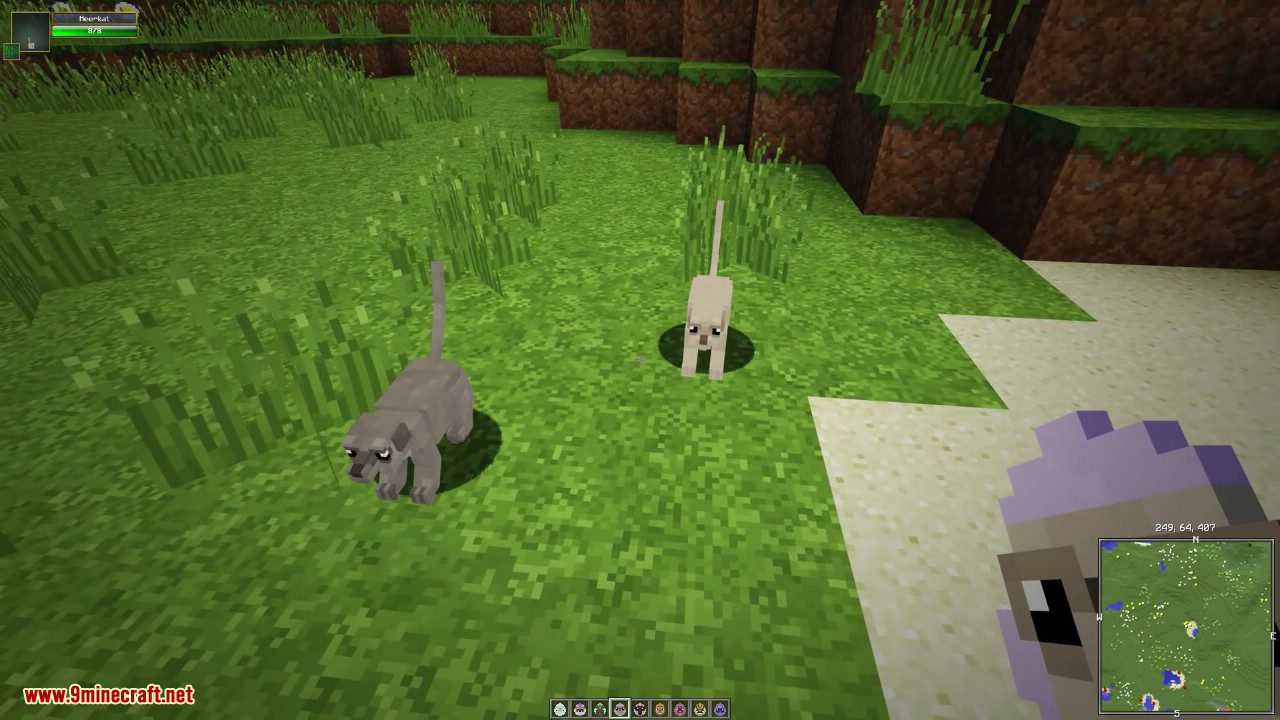 Zoo & Wild Animals Mod (1.16.5, 1.12.2) - The Call of the Wild 29