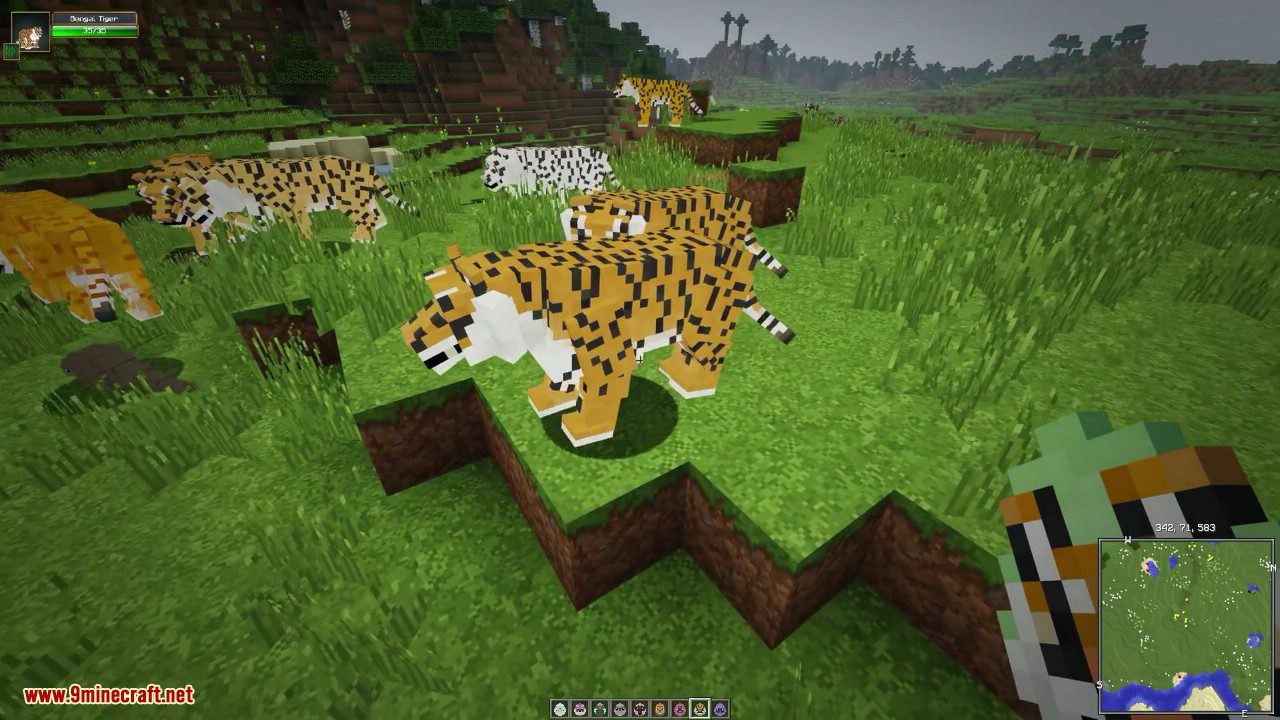 Zoo & Wild Animals Mod (1.16.5, 1.12.2) - The Call of the Wild 37