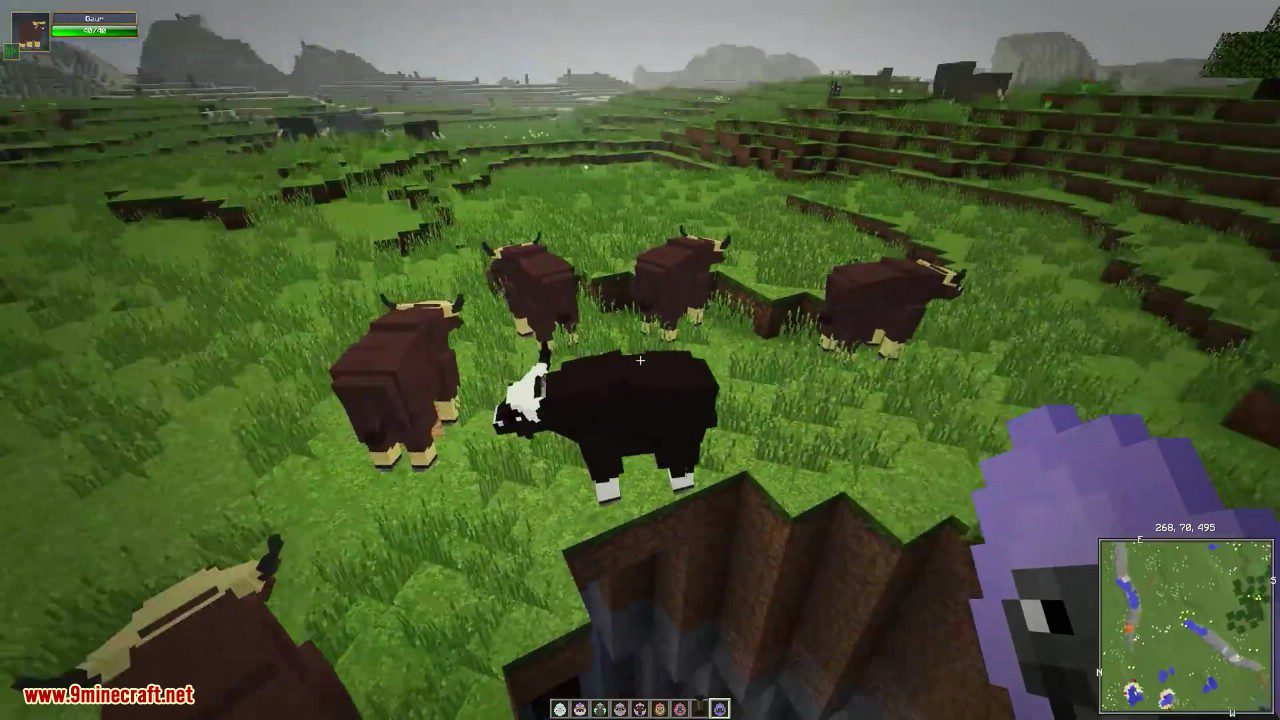 Zoo & Wild Animals Mod (1.16.5, 1.12.2) - The Call of the Wild 42