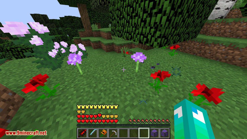 Future Lucky Block Mod 1.8.9 (Magic of the Future Things) 9