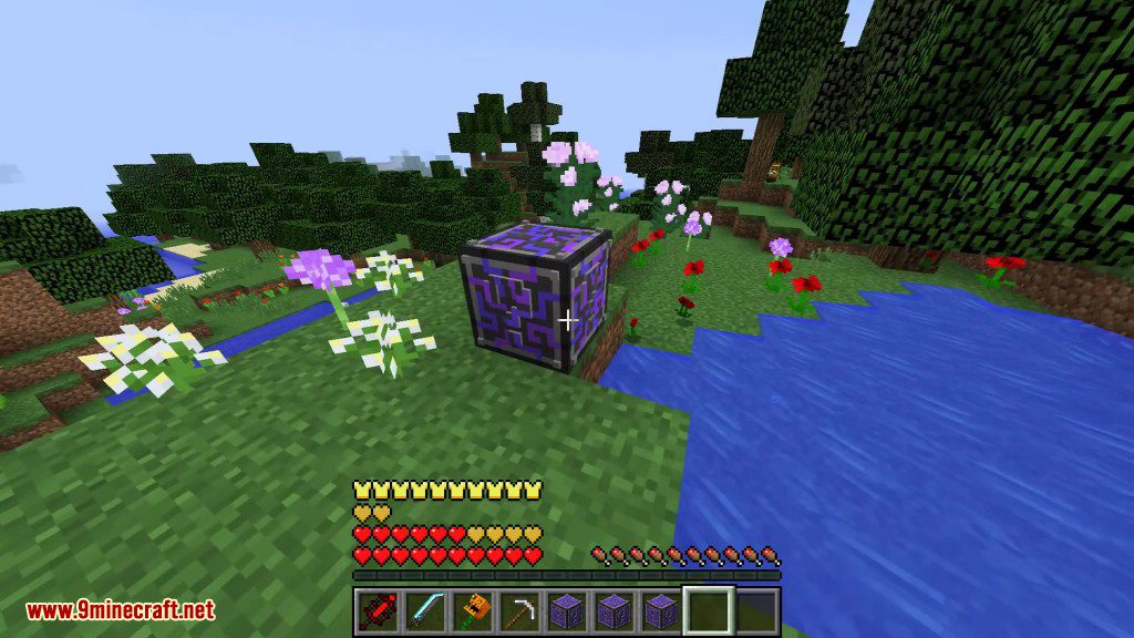 Future Lucky Block Mod 1.8.9 (Magic of the Future Things) 10