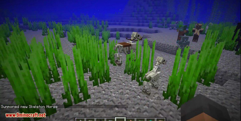 Minecraft 1.13 Snapshot 18w19a (Underwater Horses, Sinking Undead) 9