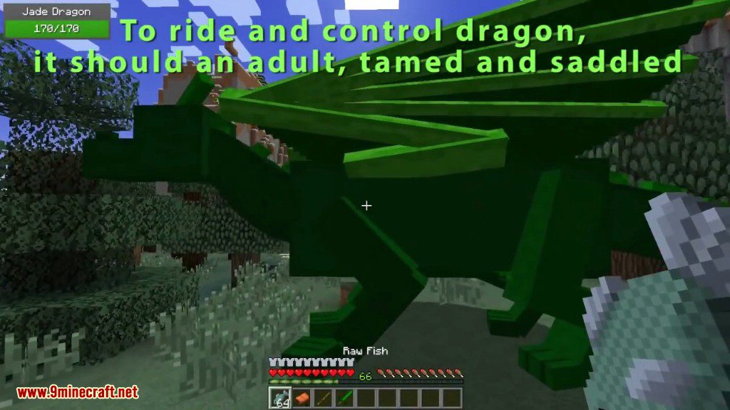 Realm of The Dragons Mod 1.12.2, 1.11.2 (Dragon Mounts Remake) 11