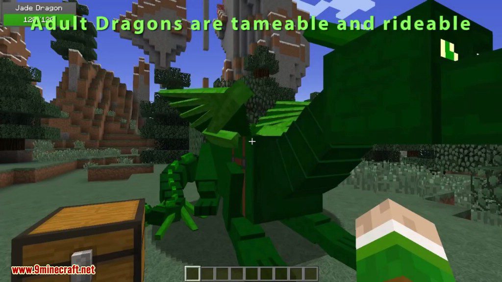 Realm of The Dragons Mod 1.12.2, 1.11.2 (Dragon Mounts Remake) 15