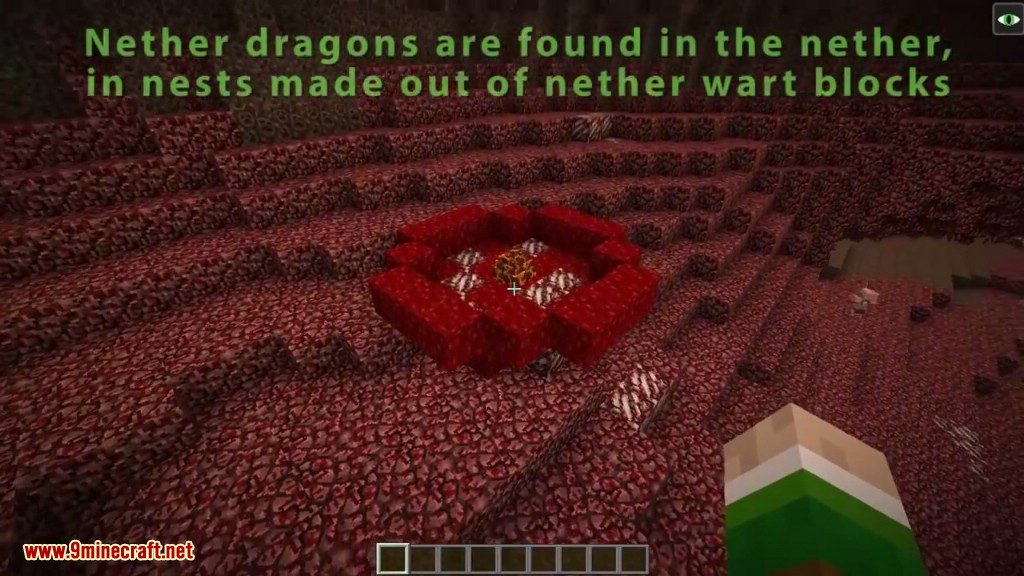 Realm of The Dragons Mod 1.12.2, 1.11.2 (Dragon Mounts Remake) 19