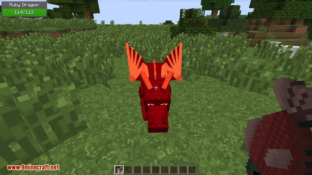 Realm of The Dragons Mod 1.12.2, 1.11.2 (Dragon Mounts Remake) 50