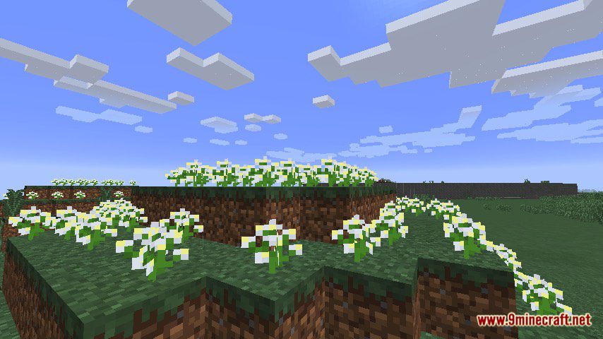 Saxmoore Map 1.12.2, 1.12 for Minecraft 8