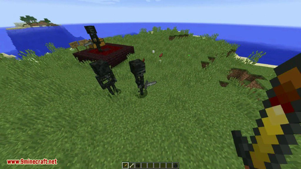 Wither Skeleton Tweaks Mod (1.20.1, 1.19.2) - Update Several Attributes 9