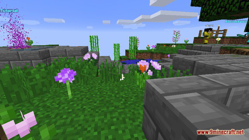 Bow Blitz Map 1.12.2, 1.12 for Minecraft 5