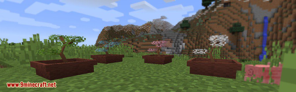 Flora and Fauna Mod 1.12.2 (Bonsai Trees, Succulents and Flowers) 4