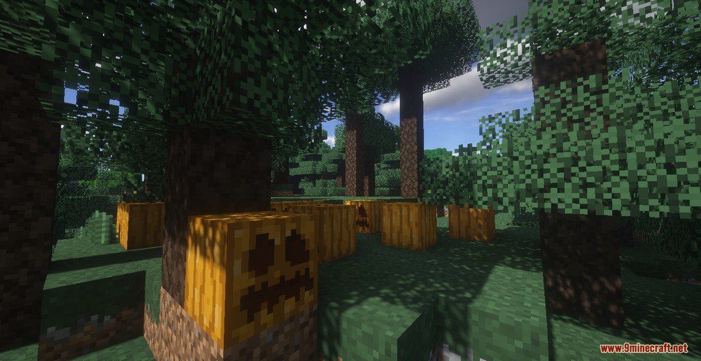 Hans Resource Pack 1.13.2, 1.12.2 6