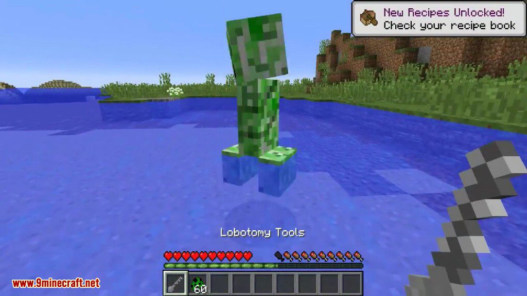 Lobotomy Mod 1.12.2 (Making Hostile Mobs Become Passive) 8