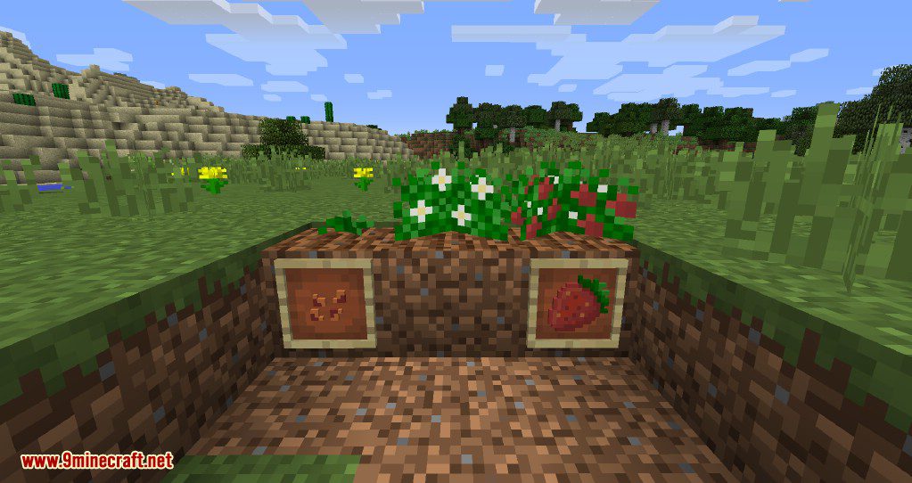 Simply Strawberries Mod 1.12.2 (New Harvesting Mechanics) 2