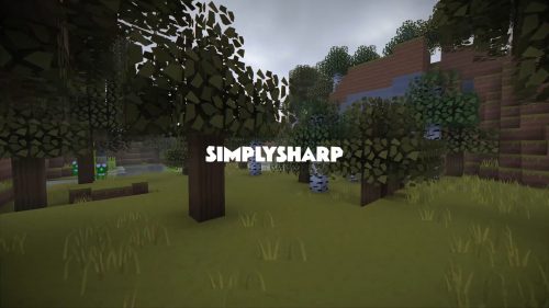 Tyza’s SimplySharp Resource Pack 1.13.2, 1.12.2 Thumbnail