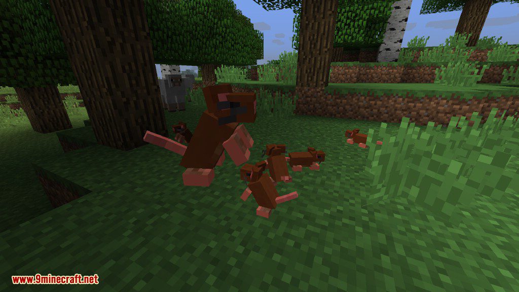 Various Oddities Mod 1.16.5, 1.12.2 (Animals in Imagination) 29