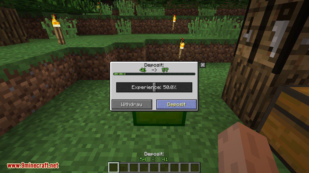 XP Holder Mod 1.12.2 (Store Your Experience) 2