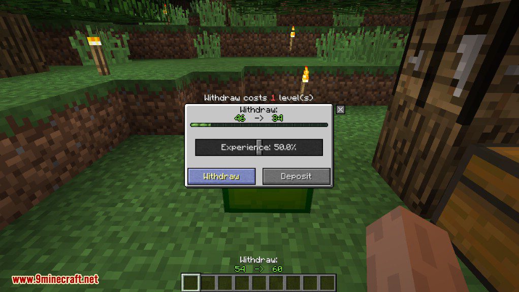 XP Holder Mod 1.12.2 (Store Your Experience) 3