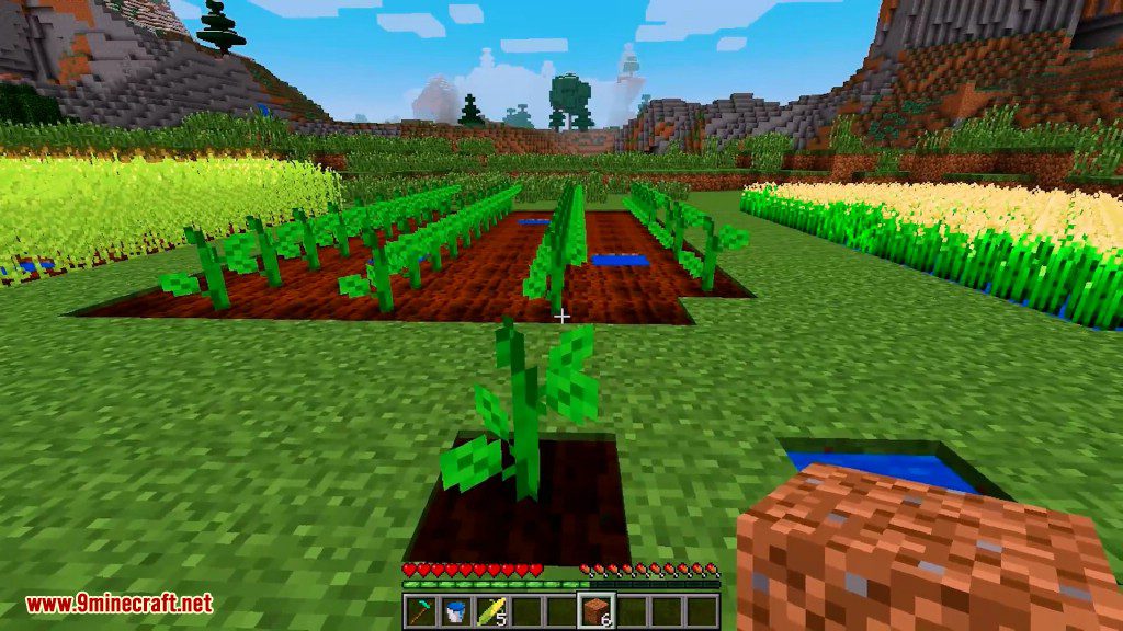 Complex Crops Mod 1.12.2, 1.7.10 (Corn, Cucumbers, Rice, Butter Bread) 17