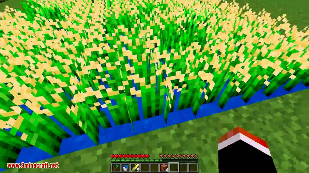 Complex Crops Mod 1.12.2, 1.7.10 (Corn, Cucumbers, Rice, Butter Bread) 18