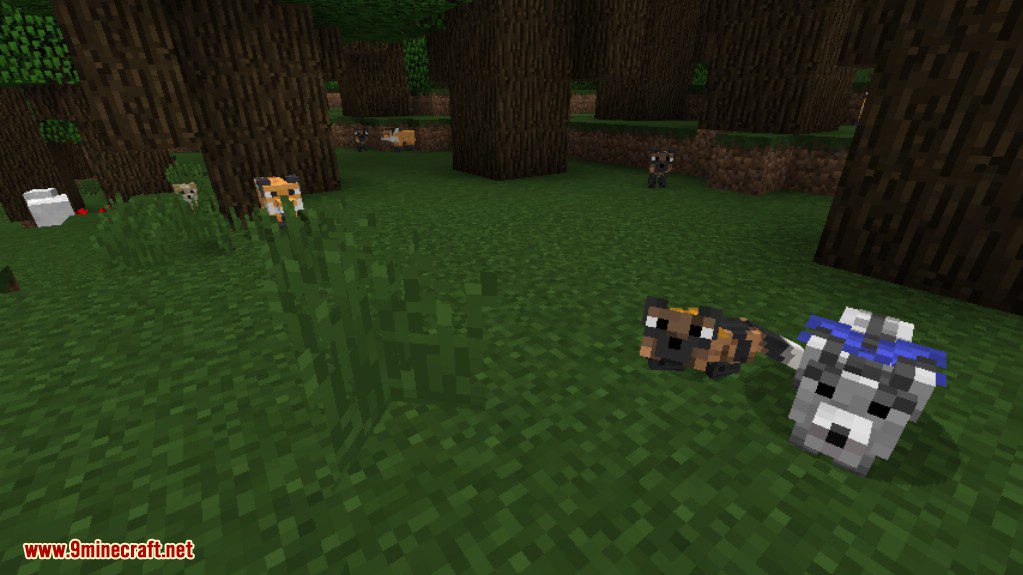 Outfox Mod 1.12.2 (Cutest Pets Ever) 2