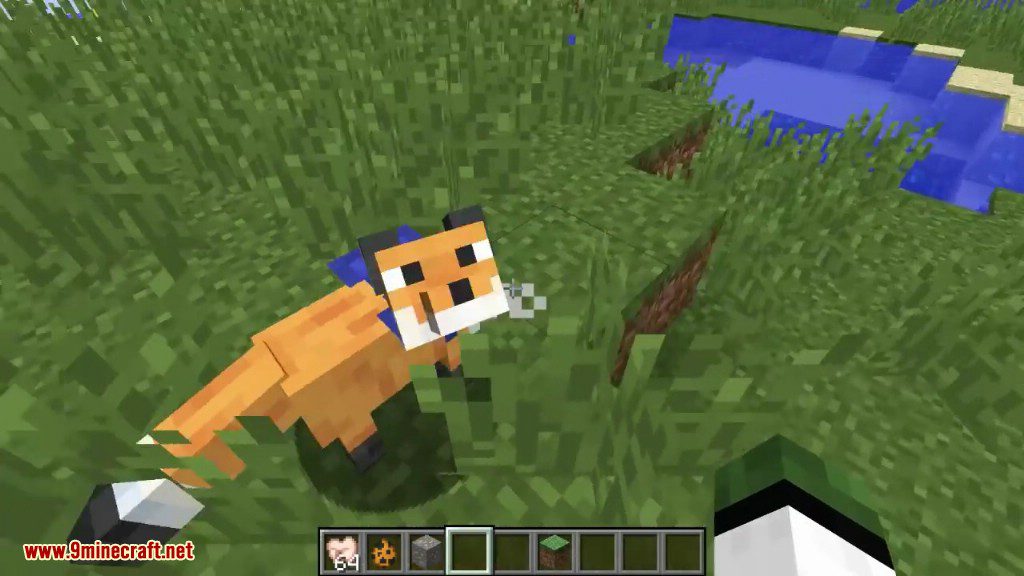 Outfox Mod 1.12.2 (Cutest Pets Ever) 11