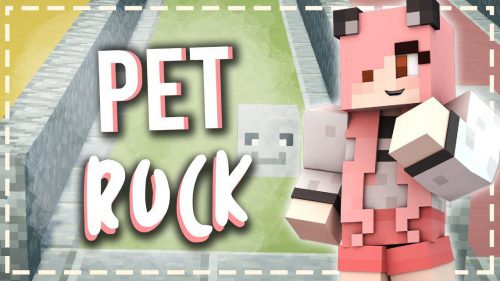 Petrock Mod (1.19.2, 1.18.2) – New Pet, Follows You Thumbnail