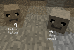 Petrock Mod (1.19.2, 1.18.2) - New Pet, Follows You 2