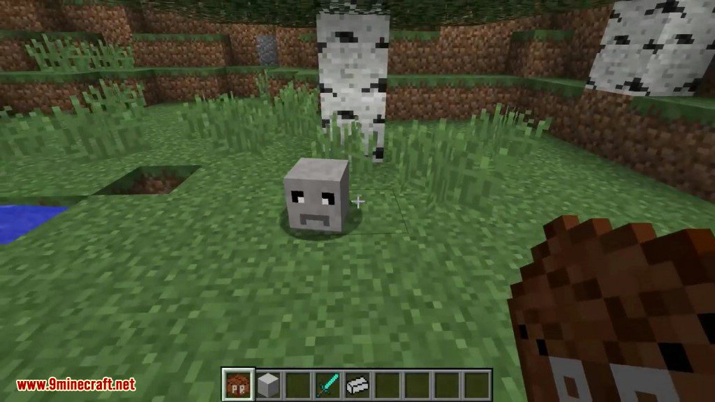 Petrock Mod (1.19.2, 1.18.2) - New Pet, Follows You 9