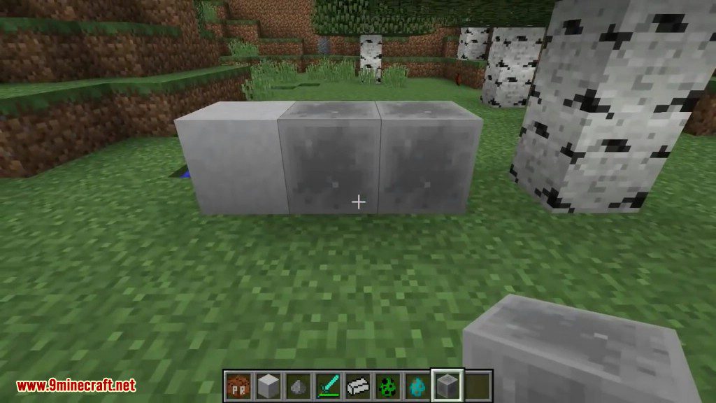 Petrock Mod (1.19.2, 1.18.2) - New Pet, Follows You 10