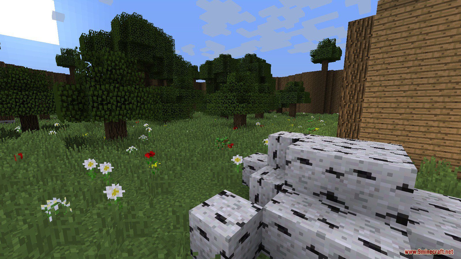 Anyone is Playing Map 1.13 for Minecraft 4