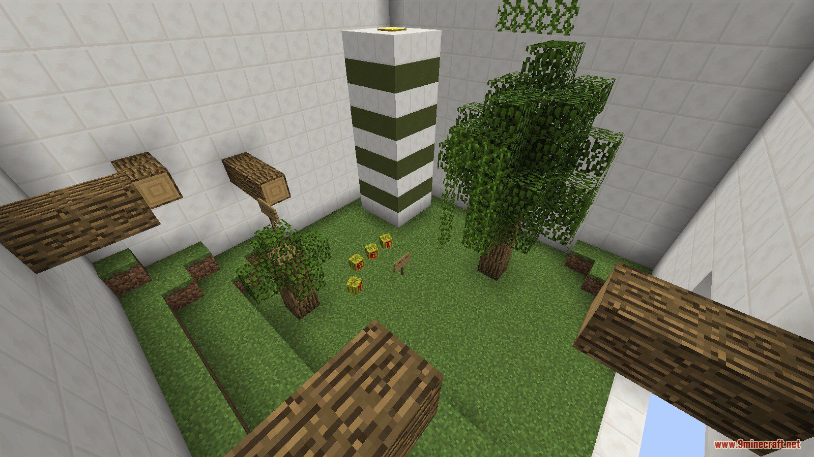 Boxed Biomes 2 Map 1.13 for Minecraft 2